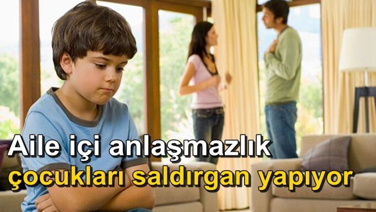 Aile içindeki anlaşmazlık, gençleri yalnızlığa sürüklüyor