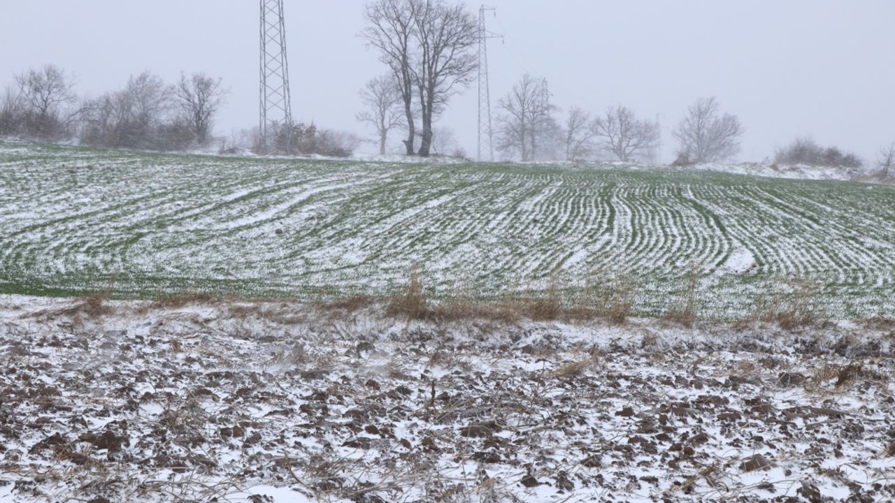 Edirne'de kar buğday üreticilerini sevindirdi