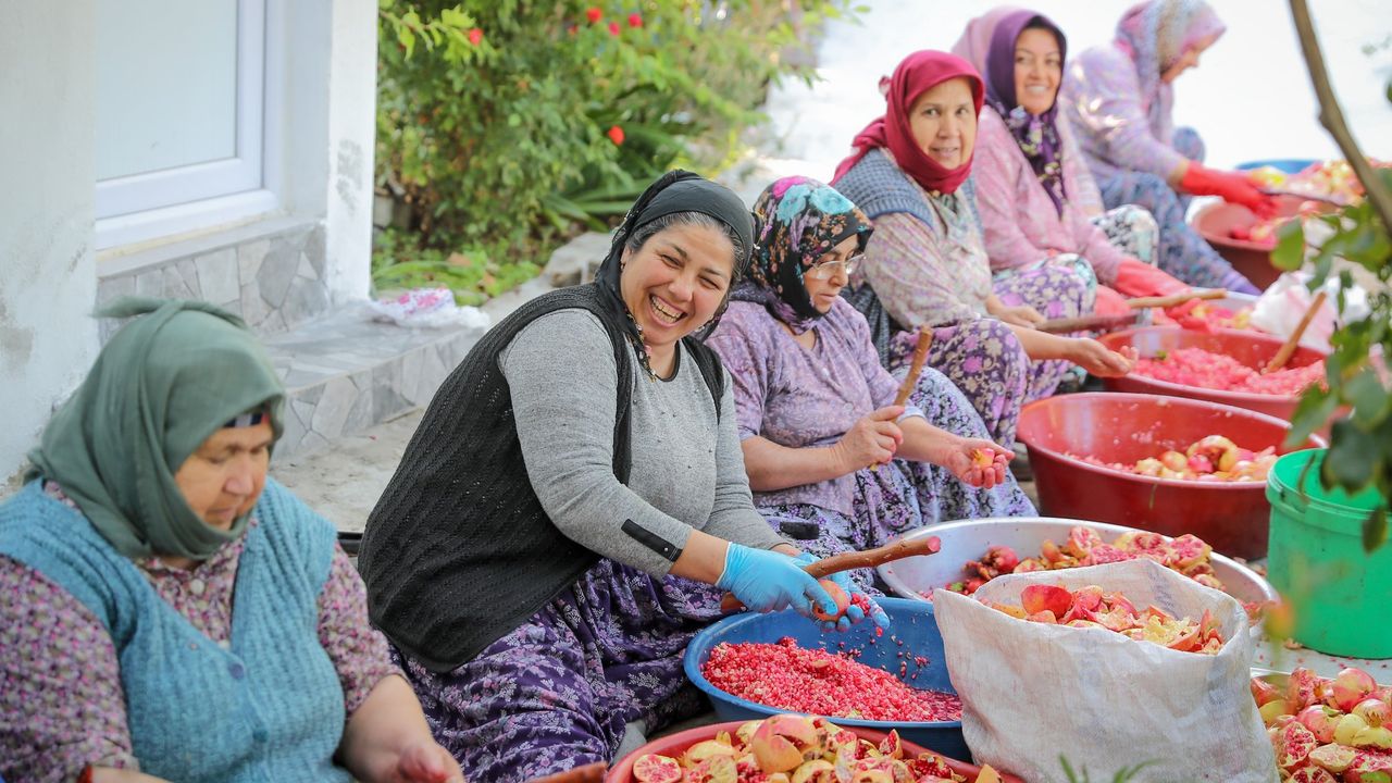 Aliağa'da nar hasadı ve doğal nar ekşisi üretimi başladı - Haber Ekspres- İzmir Haberleri- Son Dakika Haberleri