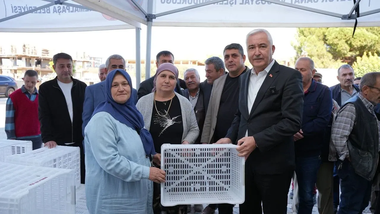 Kemalpaşa'da Çiftçilere Zeytin Kasası Desteği