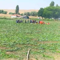 GÜNCEL