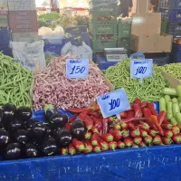 GÜNCEL