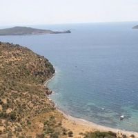 GÜNCEL