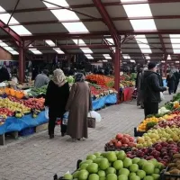 EKONOMİ