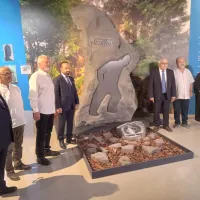 GÜNCEL
