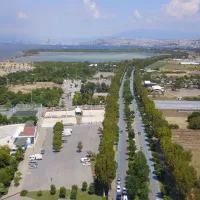 GÜNCEL
