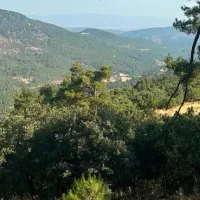İZMİR