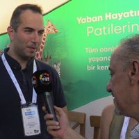 İZMİR