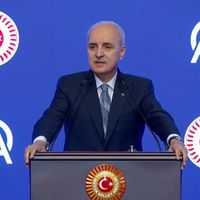 DİĞER