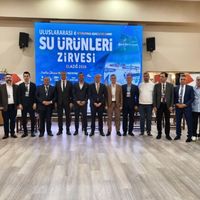 GÜNCEL