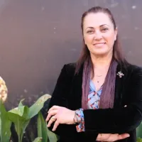 GÜNCEL