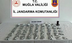 Bodrum'da uyuşturucu ticareti yapan şüpheliye gözaltı