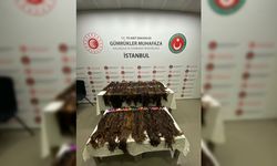 Sabiha Gökçen Havalimanı'nda valiz içerisinde 15 kilogram insan saçı ele geçirildi