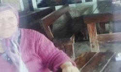 Torununun arkadaşını evinde istemediği için çapayla öldürülmüş