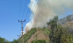 Muğla'da ormanlık alanda çıkan yangın söndürüldü