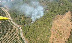 Muğla'da ormanlık alanda çıkan yangına müdahale ediliyor