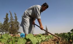 Terör örgütü PKK/YPG ile işbirliğini reddeden Tel Abyadlı genç 4 yıl işkence gördü