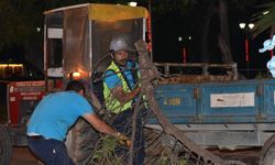 Turgutlu'da 80 yıllık ağaç şiddetli rüzgara dayanamadı