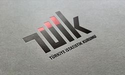 TÜİK temmuz ayı dış ticaret endekslerini açıkladı