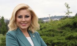AK Parti'li Bursalı'dan İYİ Parti ile CHP'ye tepki: Bunlardan İzmir'e hayır gelmez