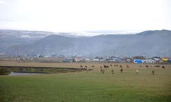 Ardahan’ın yükseklerinde kar yağışı