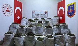 Diyarbakır’da 435 kilo esrar, 632 bin kök kenevir ile skunk ele geçirildi: 3 gözaltı