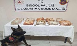 Otomobildeki salça kovaları ve patates çuvallarından 10 kilogram esrar çıktı