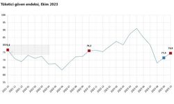 TÜİK: Tüketici güven endeksi ekimde arttı