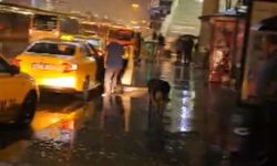 Bahçelievler'de yağıştan kaçan köpek taksiye sığındı