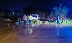 Aydın'da trafik kazasında kamyonetin sürücüsü öldü