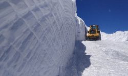 Hakkari'de üs bölgelerinin yolunu açmak için metrelerce karla mücadele ediliyor