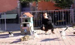 Nüfusun 25'e düştüğü mahallede kediler için 'kedi yuvası' yaptırdı