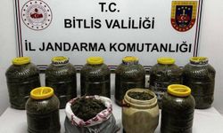 Bitlis'te, otomobilde 11 kilo skunk ele geçirildi