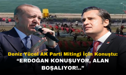 AK Parti Mitingi ve Deniz Yücel Eleştirisi
