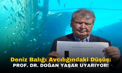 Deniz Balığı Avcılığındaki Düşüş: Prof. Dr. Doğan Yaşar'ın Uyarısı