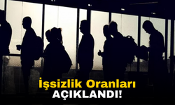Türkiye'de İşsizlik Oranı 2023 Yılında Düşüş Gösterdi: Detaylı Analiz