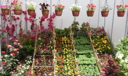 Çiçeklerin Şöleni: Bayındır'da 25. Uluslararası Festival Coşkusu