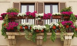 Yaza girmeden balkonlarınızı çiçek bahçesine çevirin! İşte 5 tavsiye