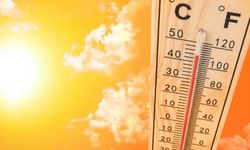 Türkiye'nin Sıcak Havası Rekor Kıracak: 2024 Yazı Kavurucu Geliyor!