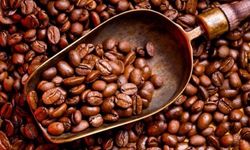 Uzmanlar Uyarıyor: Kahvenin Bozulma Süreci