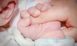 ABD'de Bebek Yoksulu: Düşen Doğum Oranları Geleceği Nasıl Şekillendirecek?
