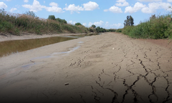 Menderes Nehri'nde Yaz Gelmeden Su Kıtlığı Endişesi