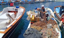 Foça'da Balıkçılar ve Pelikanlar Arasındaki Özel Dostluk