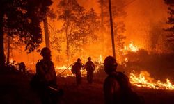 İklim Değişikliğiyle Mücadelede Orman Yangınlarının Rolü | Geleceğimizi Korumak