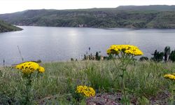 Kars'ta Karakurt köyündeki eski yerleşim yeri yağışlarla tekrar su altında kaldı