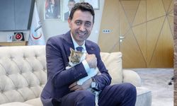 Başkan Önal, yaralı kediye ‘sahiplenme’ çağrısı yaptı