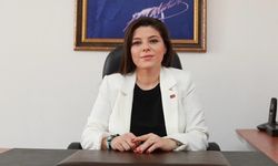 Başkan İpek Onbaşıoğlu'nun kadına şiddet açıklaması!