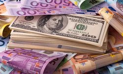 Krizlerin ardından | Dolar ve Euro ne kadar, kaç TL? (20 Mayıs 2024)