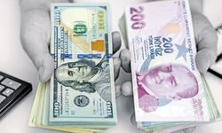 Türk lirası değerini koruyor | BofA yanılmadı!