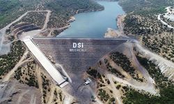 Bakırçay Havzası'nda su sorununa DSİ'den kapsamlı çözüm